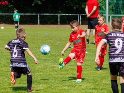 Hillen Cup 2024